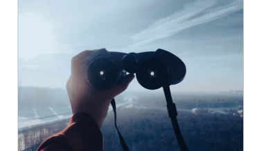 Pogled v 2025 z Natašo Sorko, predsednico sveta FIHO